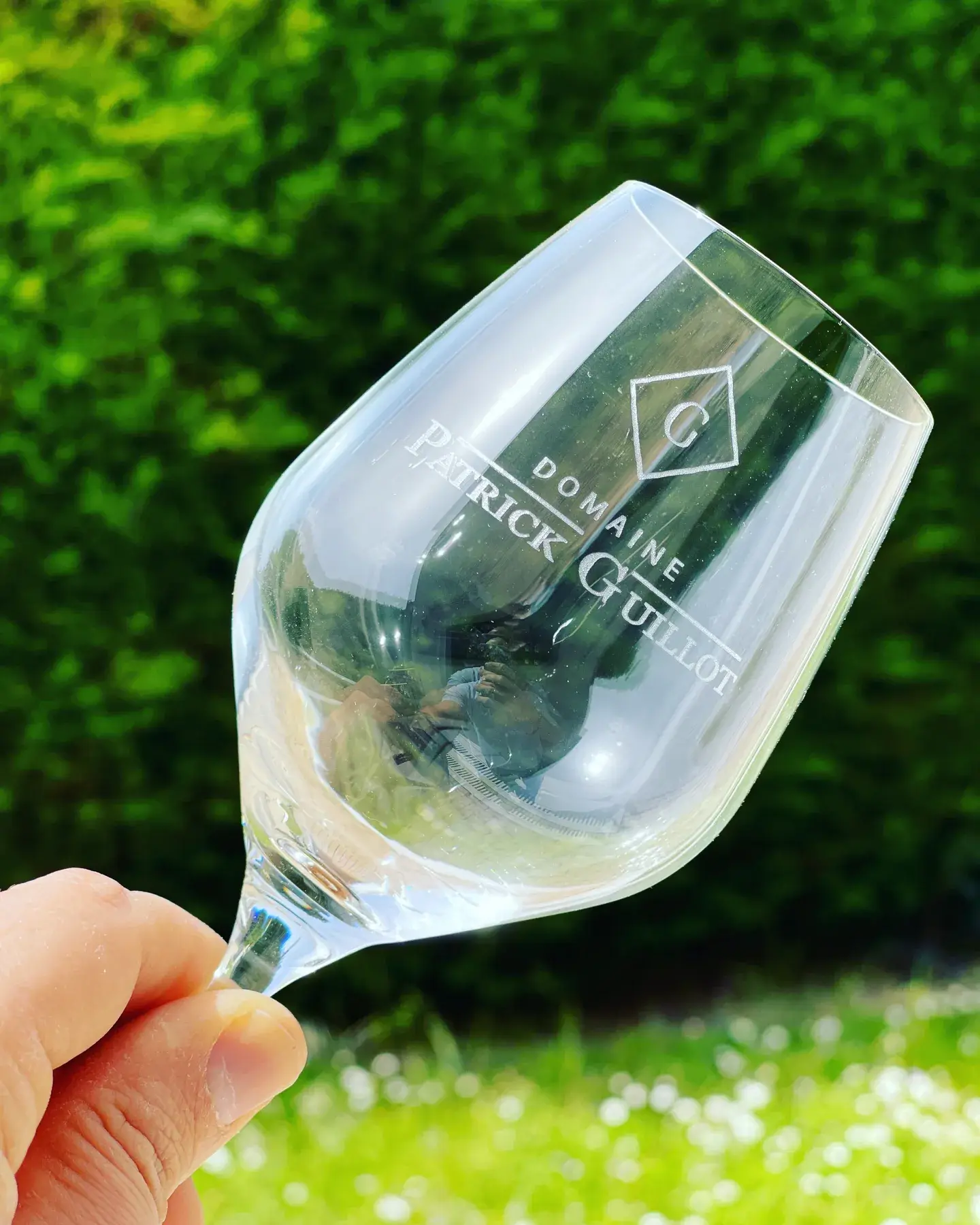 Verre à vin gravé avec le logo d’un domaine viticole, tenu devant un feuillage